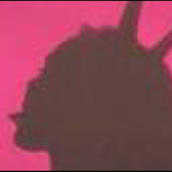 Meet your Posher, Ella - Picture 1 of 1